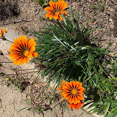 Costa Semesterbostad