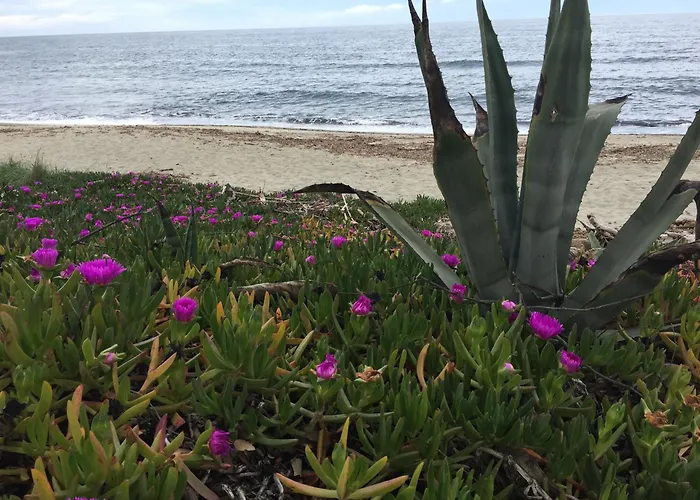 Holiday home Costa *